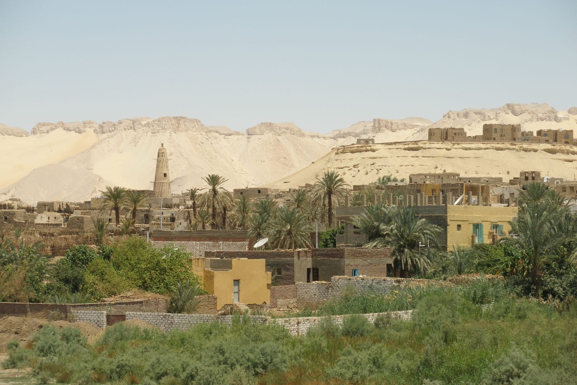 A wide landscape view of Dakhla Oasis in Egypt's New Valley Governorate, showing the oasis settlemen