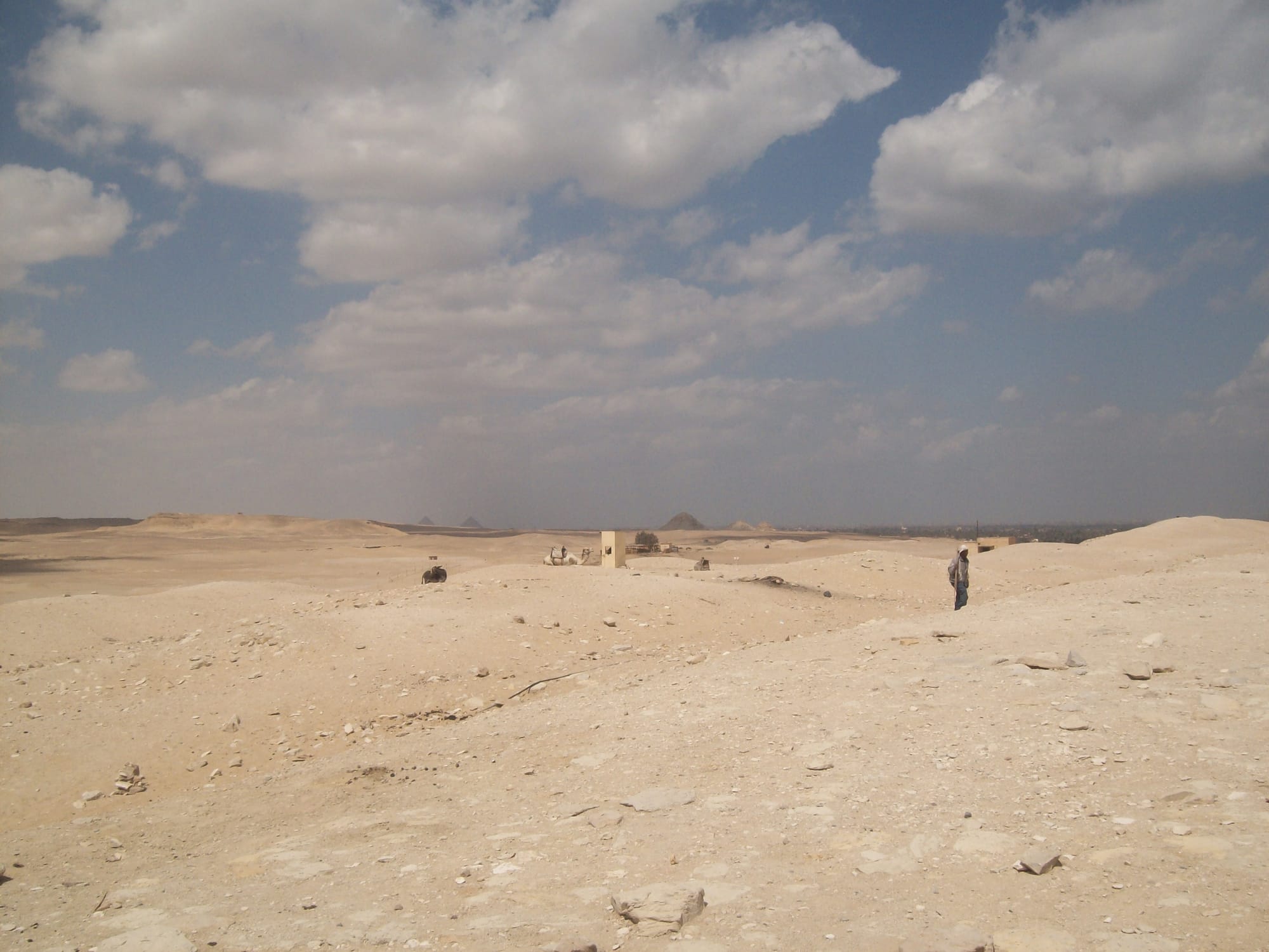The Saqqara necropolis plateau and surrounding desert landscape